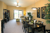 Sereno Townhomes photo'