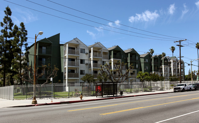 Stovall Terrace Apartments in Los Angeles, CA - Building Photo - Building Photo