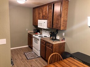 2333 Sky Meadows Ct in South Lake Tahoe, CA - Building Photo - Building Photo