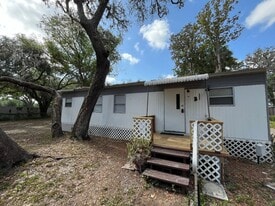 12617 Palm Lake View in Thonotosassa, FL - Building Photo