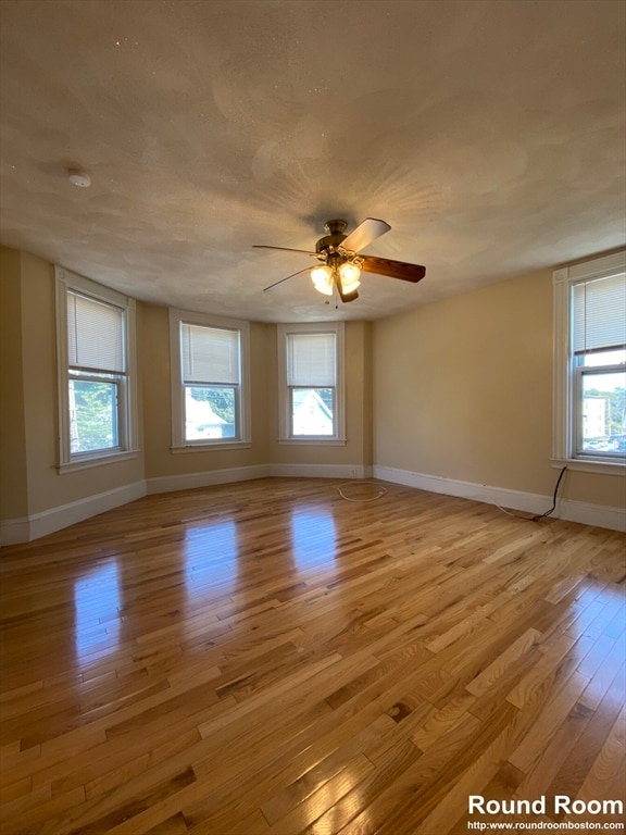 property at 51 Aldie St