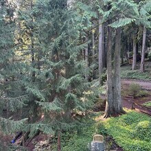 3522 124th Street Ct NW in Gig Harbor, WA - Building Photo - Building Photo