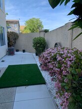 2201 S Donovan Way in San Ramon, CA - Building Photo - Building Photo