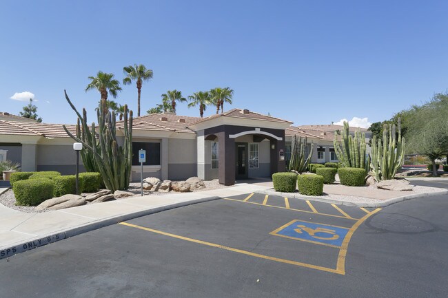 The Groves in Mesa, AZ - Foto de edificio - Building Photo