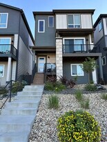 11254 Modern Meadow Loop in Colorado Springs, CO - Building Photo