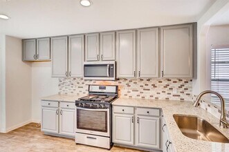 13013 Blackeyed Susan Trail in Elgin, TX - Building Photo - Building Photo