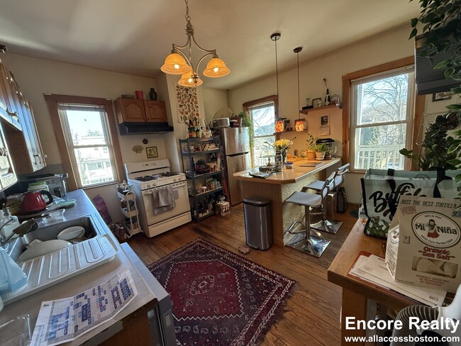 331 Faneuil St in Boston, MA - Building Photo - Building Photo