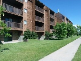 Doverglen Estates in Calgary, AB - Building Photo - Building Photo
