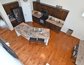 831 Shade Tree Dr in Windsor, CO - Building Photo - Building Photo