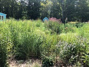 46 Wilmot Center Rd, Unit A in New London, NH - Building Photo - Building Photo
