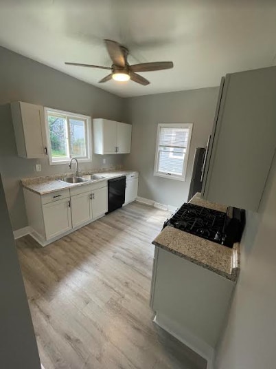 109 Unger Ave, Unit Lower