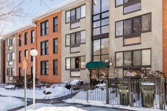 38 Juniper St, Unit #1 in Brookline, MA - Building Photo - Building Photo
