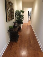 8 Sherwood St, Unit 5-1A in Storrs Mansfield, CT - Building Photo - Building Photo