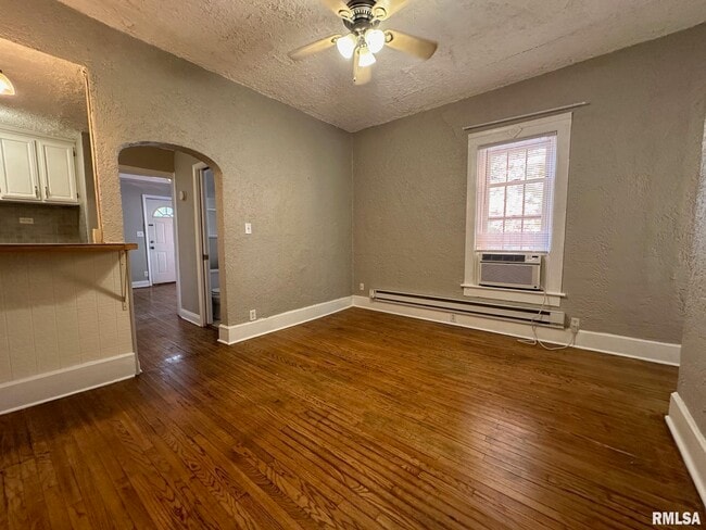 333 S Douglas Ave in Springfield, IL - Building Photo - Building Photo