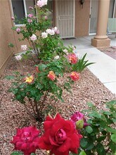 2741 Sungold Dr in Las Vegas, NV - Building Photo - Building Photo