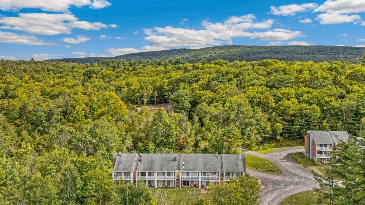 71 Scribner Hollow Rd in Hunter, NY - Building Photo