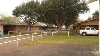 3438 Alamo Rd in Edinburg, TX - Building Photo