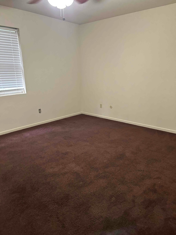 14448 Bonham St in Houston, TX - Building Photo - Building Photo
