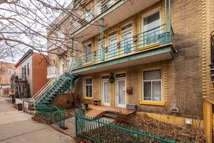 2219-2227 Marie-Anne St E in Montréal, QC - Building Photo