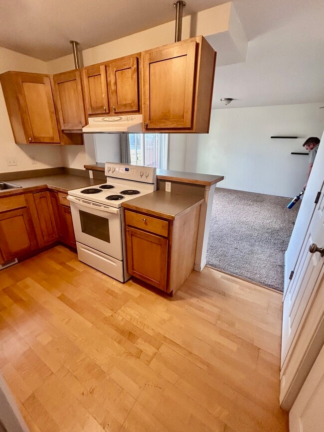 property at 1005 Sheep Herder Ln