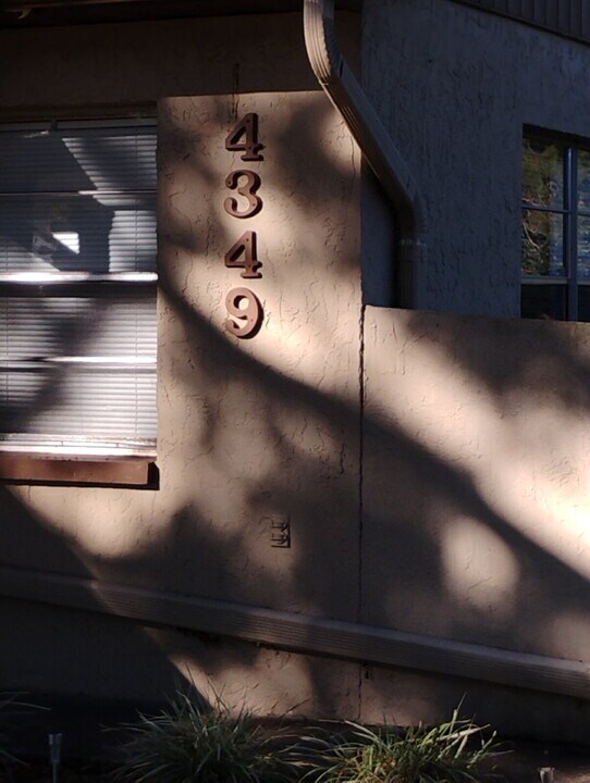 4349 Tartan Ave in Spring Hill, FL - Building Photo