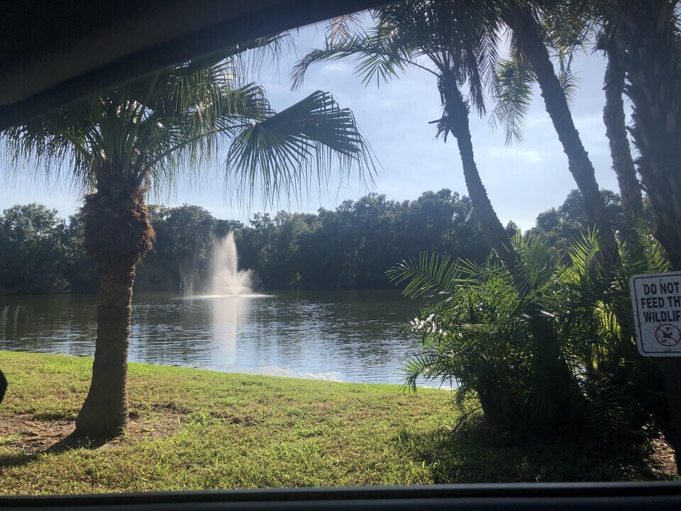 2721 5th Ct in Palm Harbor, FL - Building Photo