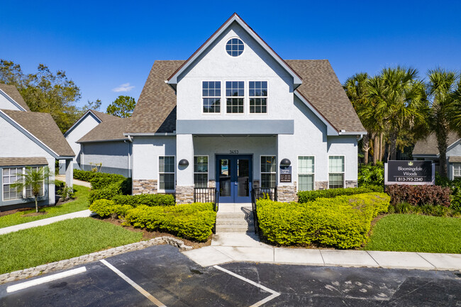 Bloomingdale Woods in Valrico, FL - Foto de edificio - Building Photo