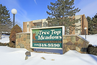 Tree Top Meadows in Novi, MI - Building Photo - Building Photo