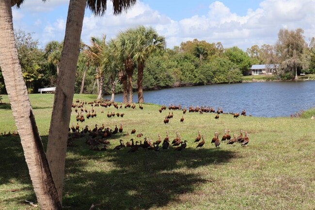 880 Van Gogh Rd in Englewood, FL - Building Photo - Building Photo