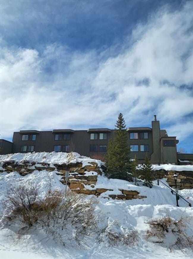 110 South Park Avenue in Breckenridge, CO - Building Photo - Building Photo