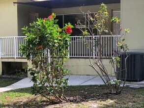431 NE 75th St-Unit -R in Miami, FL - Building Photo - Building Photo