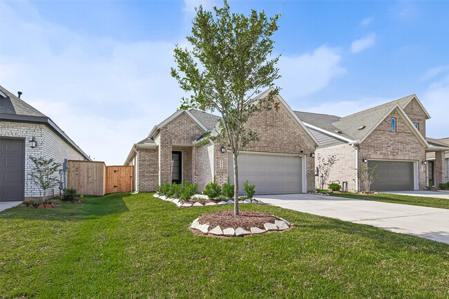 6619 Sunset Velvet Dr in Katy, TX - Building Photo - Building Photo