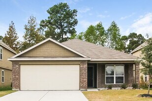 16760 Northern Flicker Trail in Conroe, TX - Building Photo