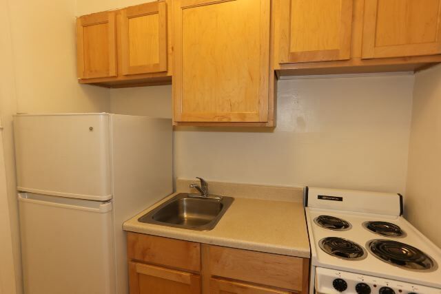 539 W Arlington Pl in Chicago, IL - Building Photo - Building Photo