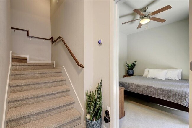 3405 Charlotte Rose Drive in Austin, TX - Building Photo - Building Photo