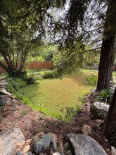 2505 Flume Ln in Newcastle, CA - Building Photo - Building Photo