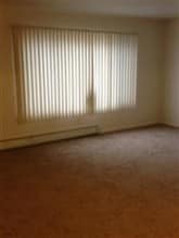 Schaefer Park Apartments in Detroit, MI - Building Photo - Building Photo