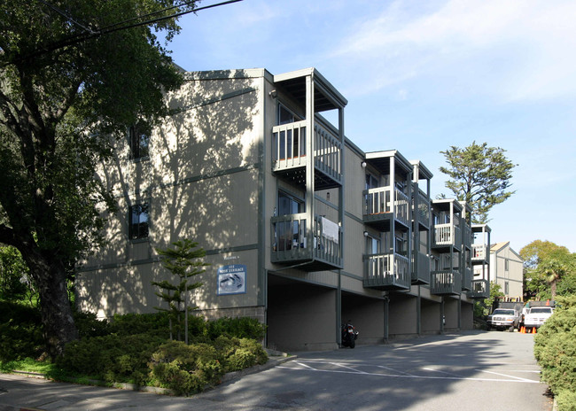 Ross Terrace in San Rafael, CA - Building Photo - Building Photo