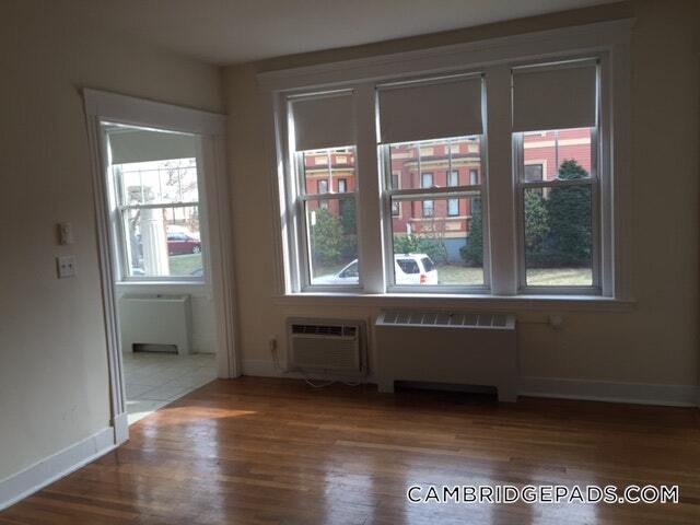 3 Langdon St, Unit 3 in Cambridge, MA - Building Photo