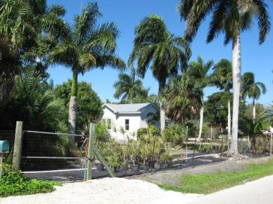 16020 Cook Rd in Ft. Myers, FL - Building Photo