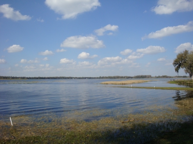 Watson's Fish Camp in Hernando, FL - Building Photo - Other