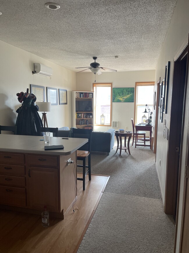 356 W Main St, Unit Apt 1 in Marshall, MN - Foto de edificio - Building Photo