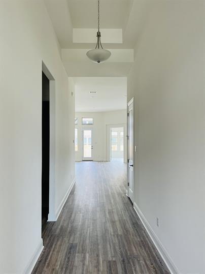728 Critty Ln in Leander, TX - Building Photo - Building Photo