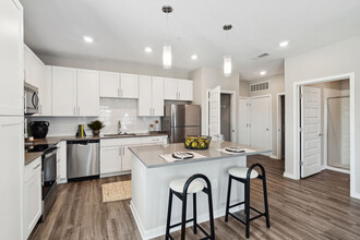 Ascend Angeline in Land O Lakes, FL - Building Photo - Building Photo