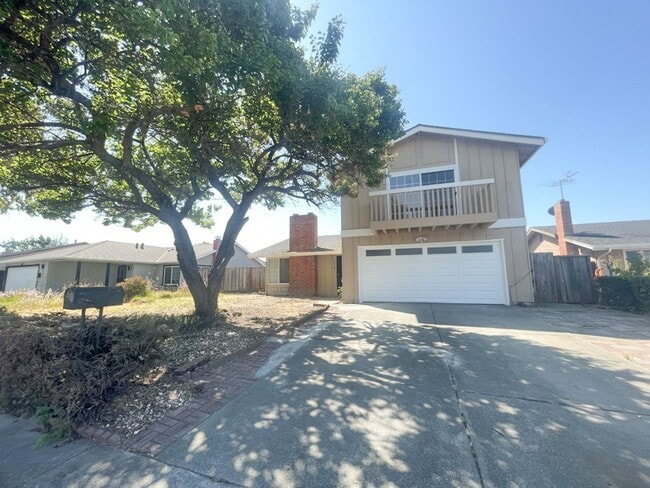 property at 3310 San Carlos Way