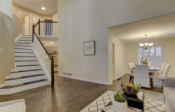 541 Pitkin Way in Castle Rock, CO - Building Photo - Building Photo
