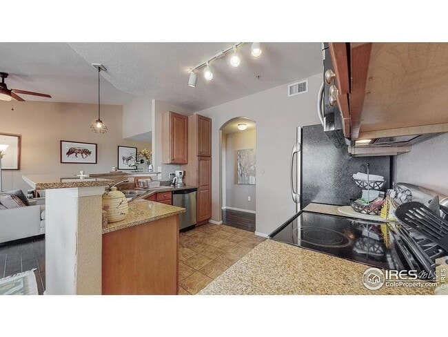 1450 Blue Sky Way in Erie, CO - Building Photo - Building Photo