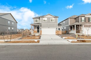 1902 Knobby Pne Dr in Fort Collins, CO - Building Photo