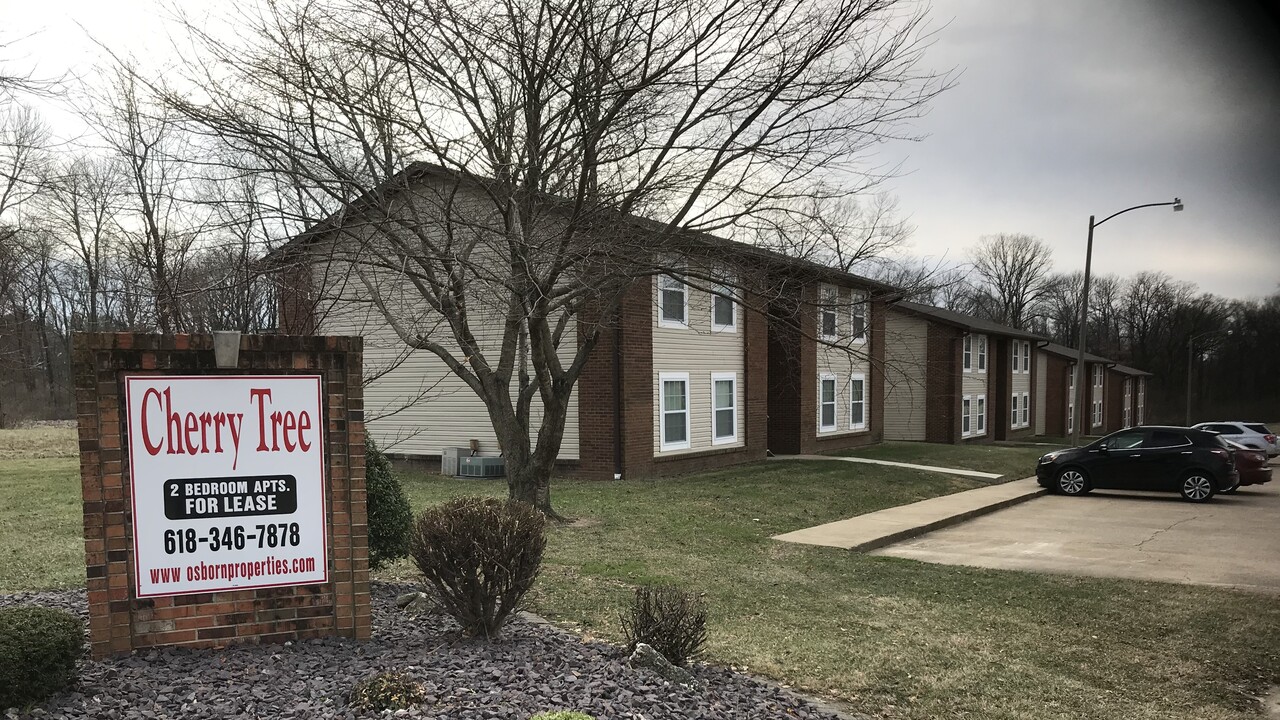16 Cherry Tree Ln, Unit 16 in Glen Carbon, IL - Building Photo