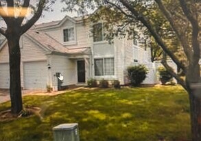 462 Thomas Paine Ct in Aurora, IL - Building Photo